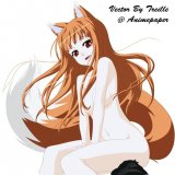 BUY NEW spice and wolf - 178138 Premium Anime Print Poster
